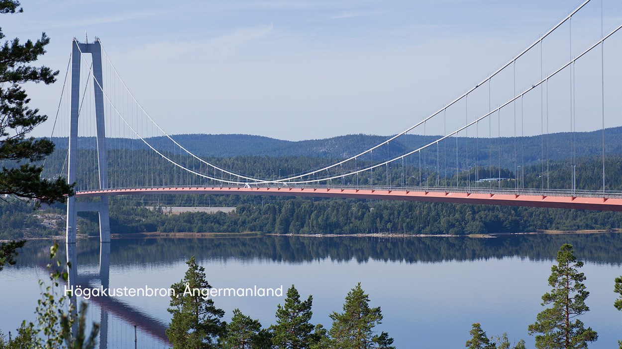 Hängbro över älv mot en bakgrund av skogsbeklädda berg som spelgar sig i vattnet.